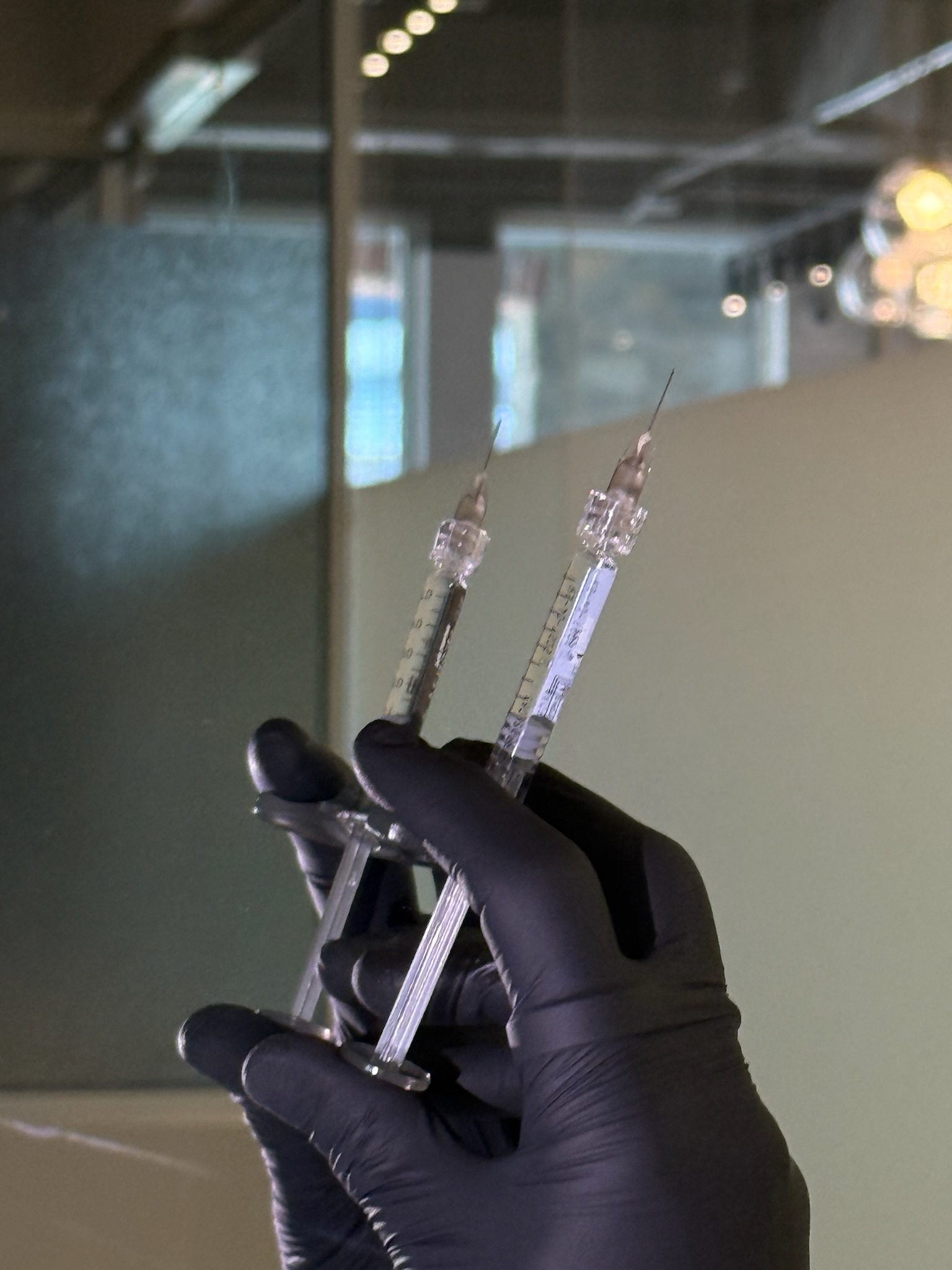 Gloved hand holding two syringes filled with clear liquid.